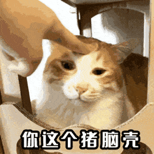  开学前夜还在抄作业的孩子,你们能走点儿心吗