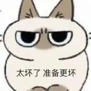  这只猫的表情包叫什么