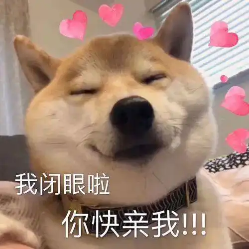  看到主人被送医抢救,狗子一夜愁白头,前后对比太强烈