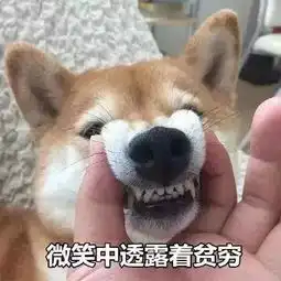  武汉很大的光霞水果批发市场里面都卖什么