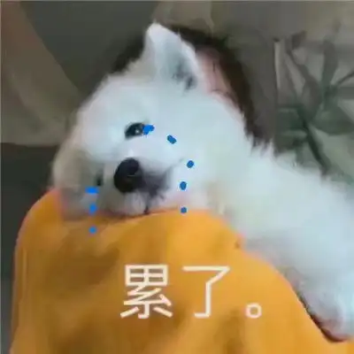  一条戏精狗狗的表情包合集狗狗沙雕表情包图片搞笑