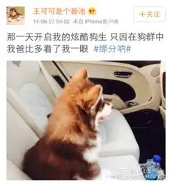  毕竟,在你们心里那个富可敌国的男人,在它心里不过是