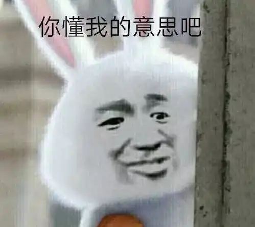 罗翔表情包直接杀掉含义