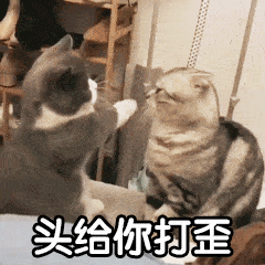  抖音最火动图表情
