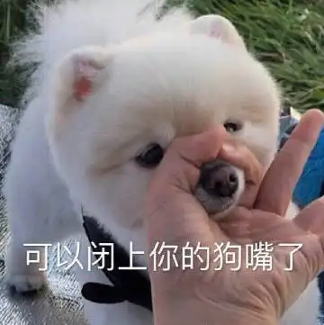 打狗狗表情包沙雕