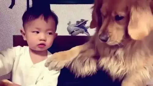 打狗狗表情包小孩子