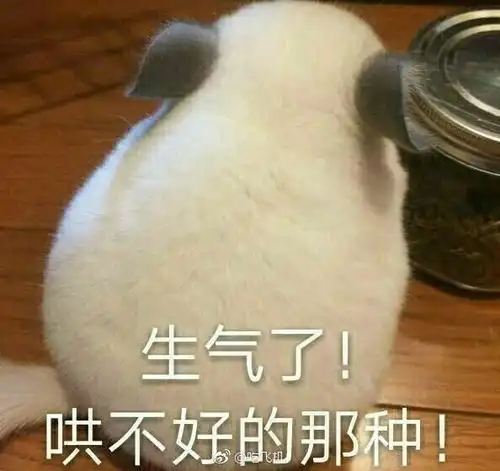  有哪些专用于撩妹撩汉的表情图