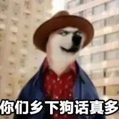  柴犬丨汪界表情包的鼻祖
