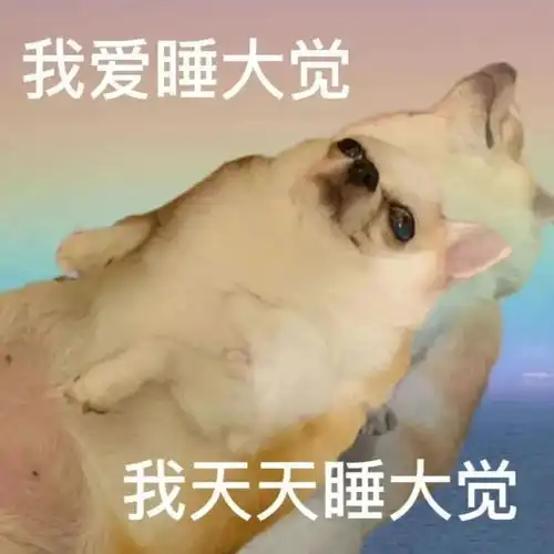  五一想当特种兵做梦