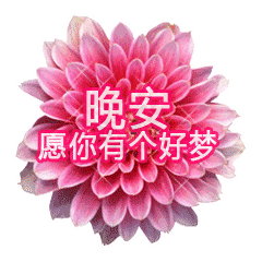  睡前群发晚上好问候动画表情包最新版