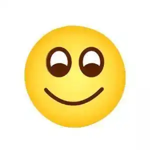 心晴对方向你投来一个表情包