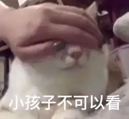  双11第一波买家秀曝光哈哈哈哈哈笑出腹肌......