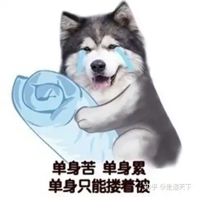  22岁还单身,是什么情况