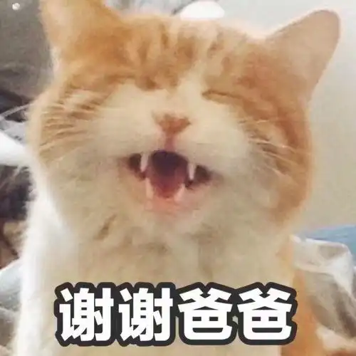 我爱你的表情包可爱小朱