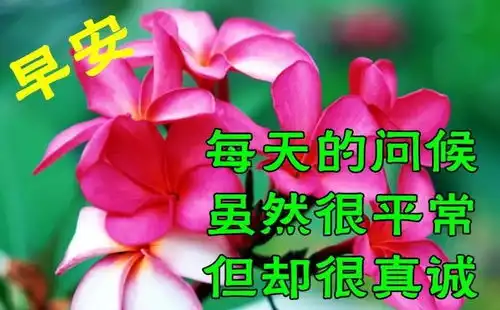 重要事情图片表情包祝福
