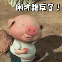 罗翔表情包直接杀掉gif