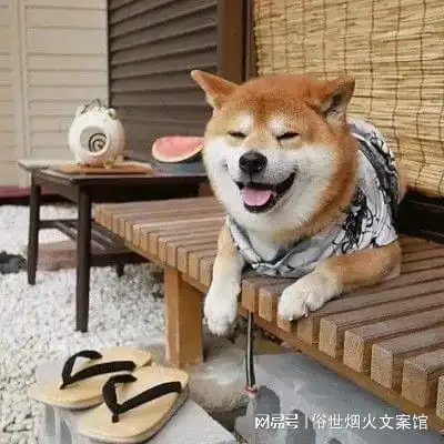  你们到底喜欢的是我还是我的表情包
