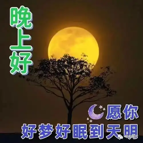  晚上好表情包,晚上好图片,晚上好问候