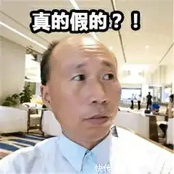 王思聪不上班表情包