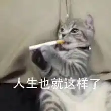 给我看下腿吧表情包委屈