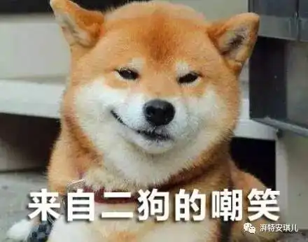  推荐你喂米饭碳水化合物给狗猫增肥你可以拉黑了