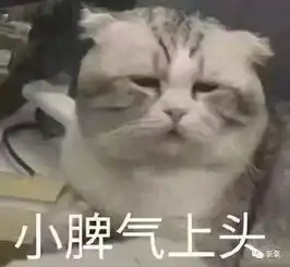  没人讨论宋茜吗一声不吭甩掉所有颜值bug苹果肌垮到下巴还能一夜回春