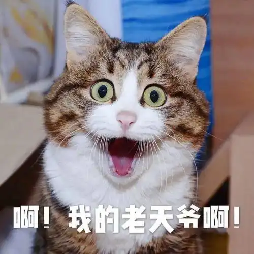  富区老铁们咱们区有共享助力车了