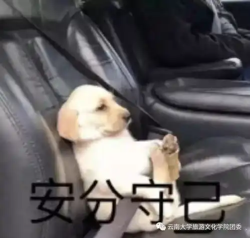  过年回家前vs回家后