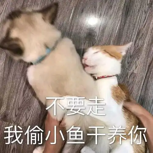  想问一下为什么有些小肥羊可以带图评论啊