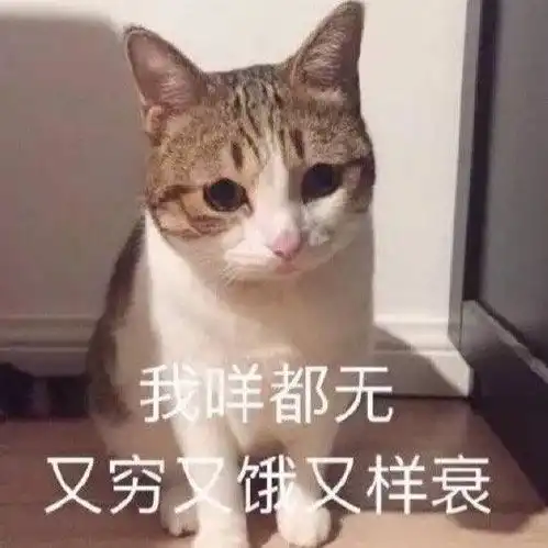暴走表情包大全哎呦
