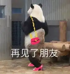 抓贼的表情包劈叉