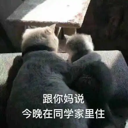 贴吧搞笑表情包沙雕