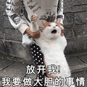  斗图必备的聊天表情包