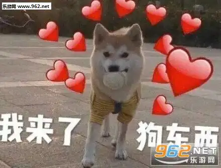  别问问就是直男表情包图片我来了狗东西表情包下载乐游网游戏下载