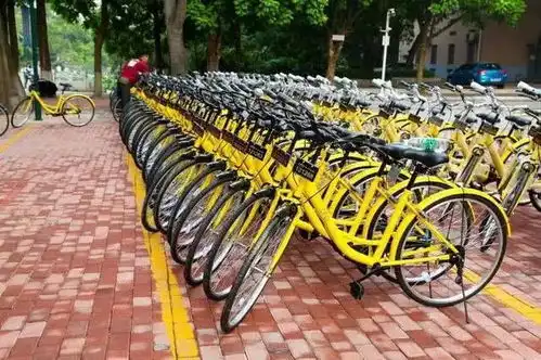  表情首个政府新规出台了,共享单车天花板要来吗表情