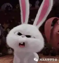 爱宠大机密小白表情包中