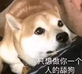  养狗的这些误区,你知道么