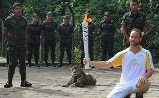  为了拯救奥运会,巴西竟掏出了这样东西...
