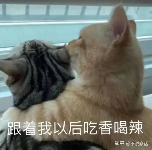 对一个普通人来说,使用社交软件是一个好主意吗
