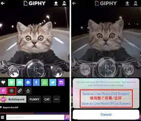  苹果livephoto功能教你玩出不一样的花样