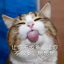  仰天大笑出门去,一个涨停带回来