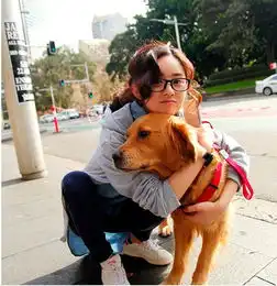  赵丽颖的口碑与人品,何炅点赞卓伟呵呵