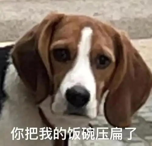  转需留学生眼里的多伦多大学是怎样的