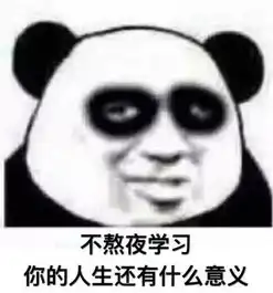  斗图表情我发誓我再也不熬夜了