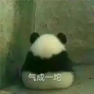 币哥表情包熊猫