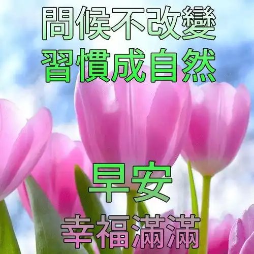  优美的早上好问候语带表情早上好祝福图片全集