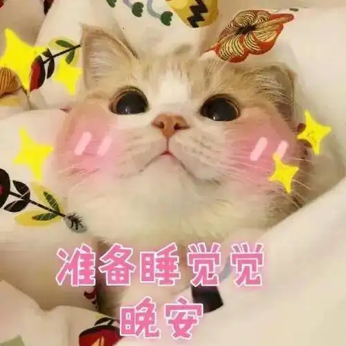  熬夜怎么补救补觉也不管用了