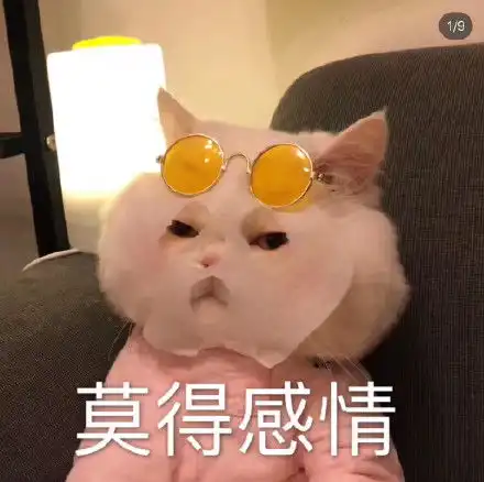  蹦迪gif蹦迪专用动态表情包斗图表情