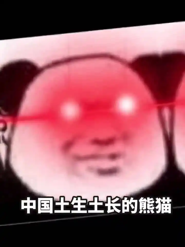 人脸熊猫表情包表情