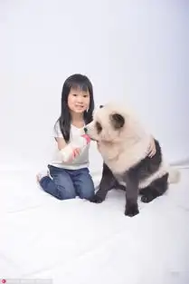  组图一毛一样狗主人给松狮犬染色假扮大熊猫